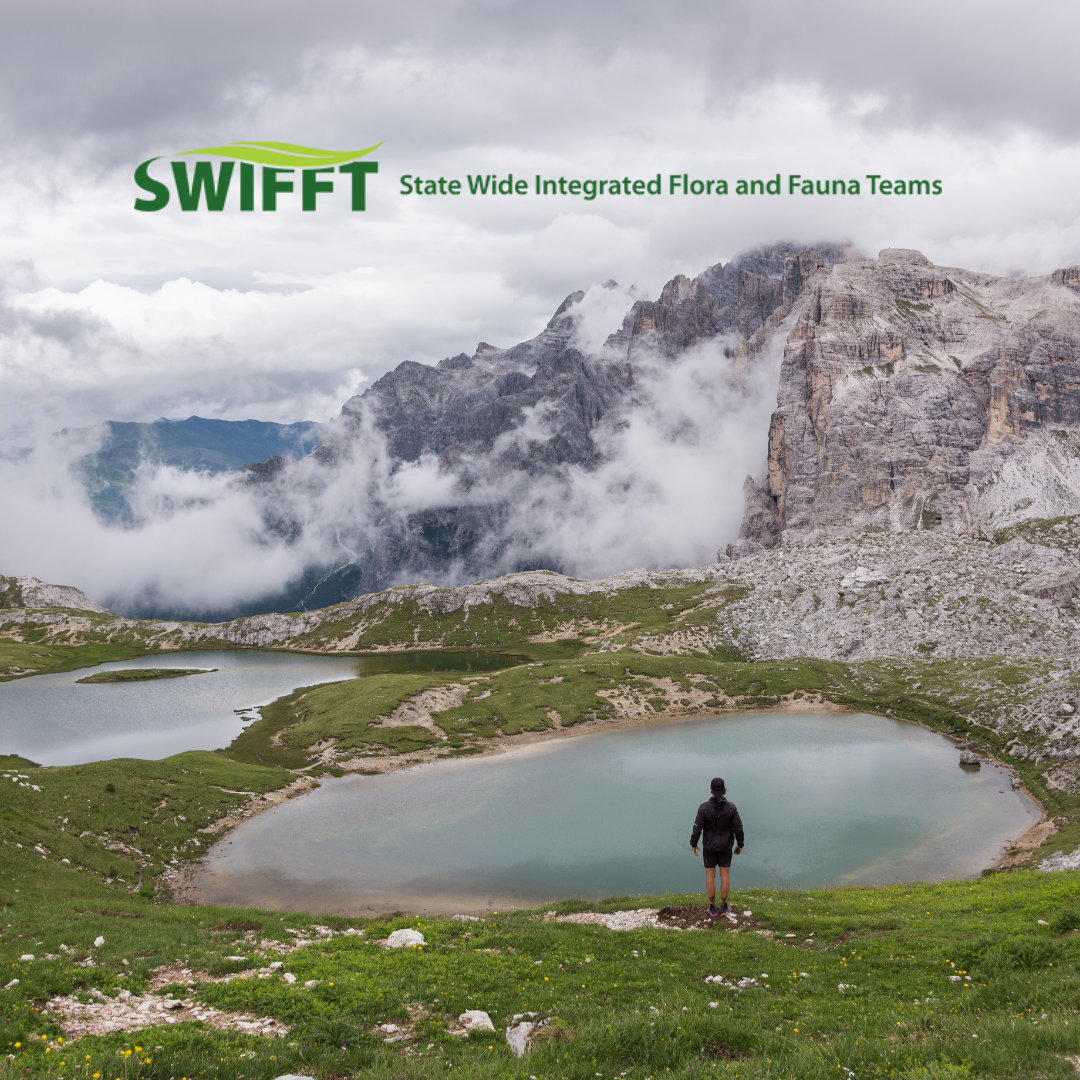 State Wide Integrated Flora and Fauna Teams